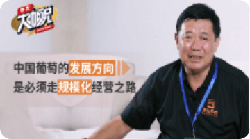 中国通常的发展方向 是必须走规；