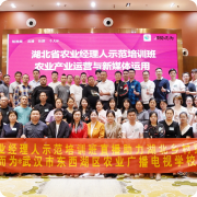 糖果派对 - 更优质的游戏运营商官网