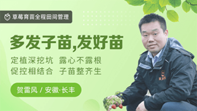 多发子苗，发好苗